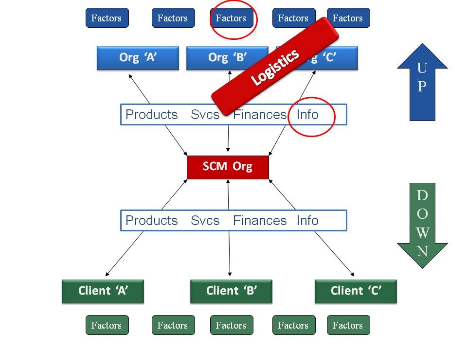 Supply Chain Management Career: A Discussion in general