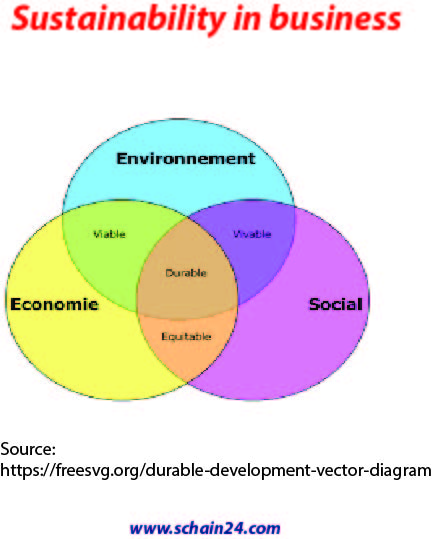 Sustainability strategy in the business world: A brief discussion